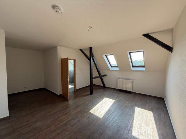 Apartment mieten in Altchemnitz, Chemnitz