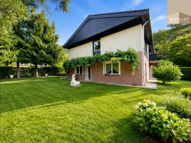 Haus kaufen in Markt Piesting, Niederösterreich