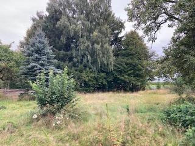 Erdgeschosswohnung mieten in Hohenlinden, Bayern