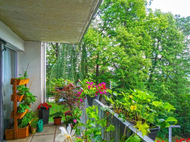 Wohnung kaufen in Donaustadt, Wien