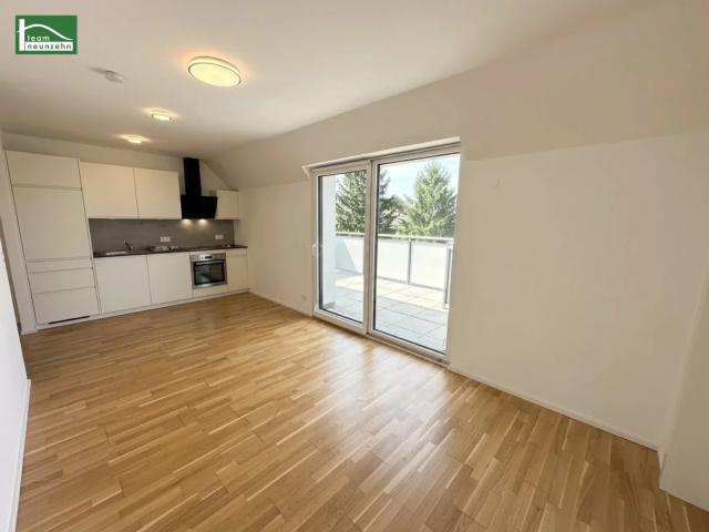 Apartment mieten in Im Gestockert, Wien