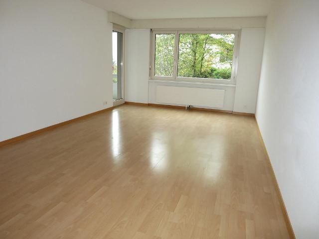 Immobilie kaufen in Thayngen, Schaffhausen