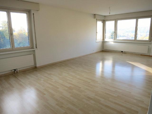 Immobilie kaufen in Thayngen, Schaffhausen