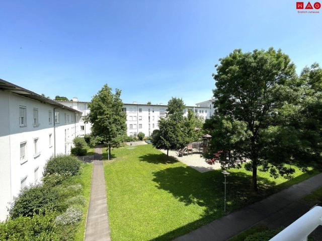 Apartment kaufen in Linz, Bindermichl