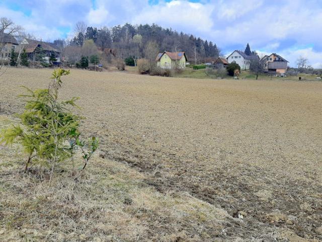 Haus kaufen in Stainz, Steiermark