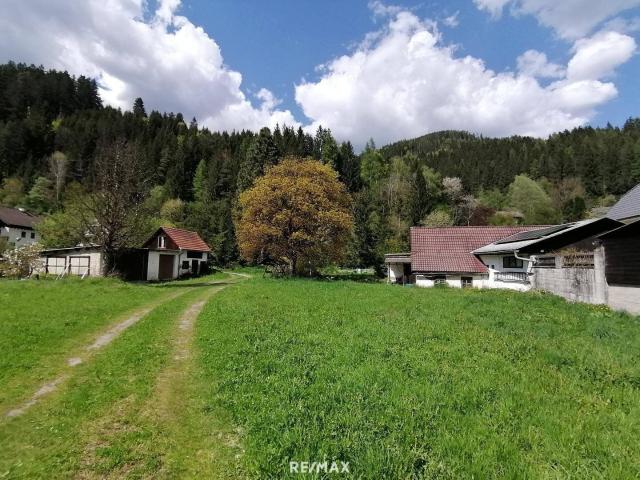 Immobilie kaufen in Tragöß, Steiermark
