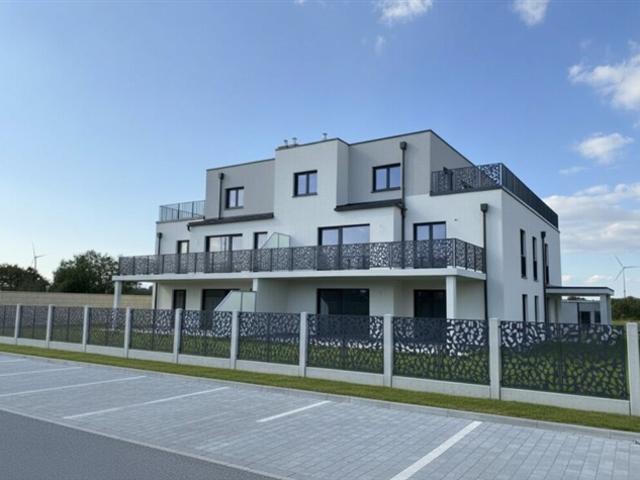 Wohnung mieten in Bruck an der Leitha, Niederösterreich