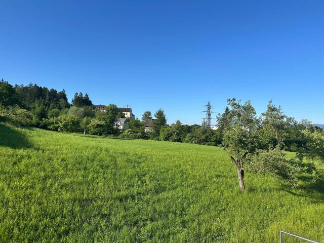 Apartment mieten in Lochau, Vorarlberg
