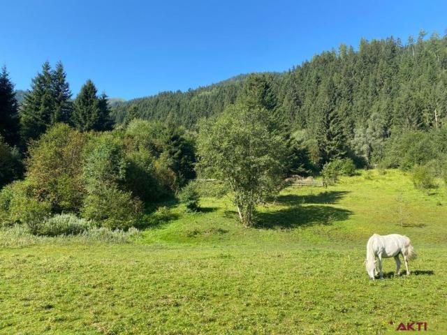 Grundstück kaufen in Donnersbach, Steiermark