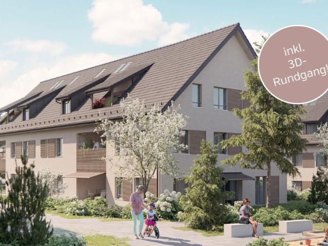 Dachwohnung kaufen in Birr, Aargau