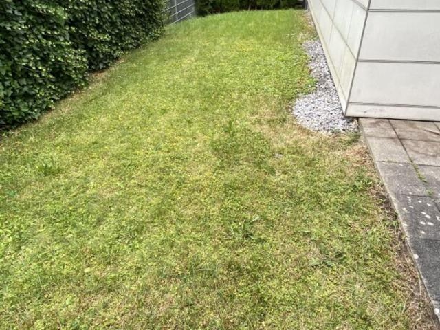 Wohnung mieten in Schruns, Vorarlberg