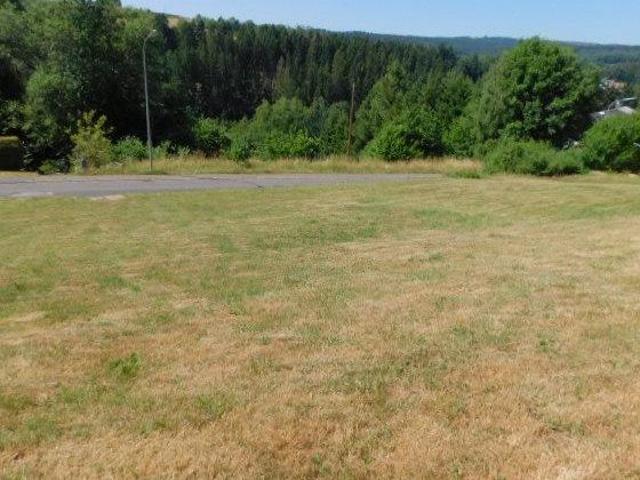 Erdgeschosswohnung kaufen in Neuhütten, Rheinland-Pfalz
