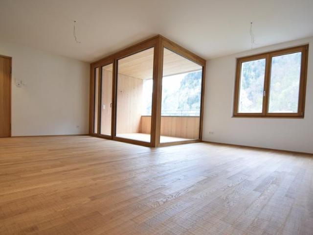 Apartment mieten in Tiergarten, Hohenems