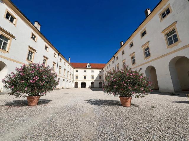 Apartment mieten in Wolfern, Oberösterreich