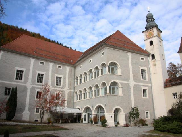 Apartment mieten in Frohnleiten, Steiermark