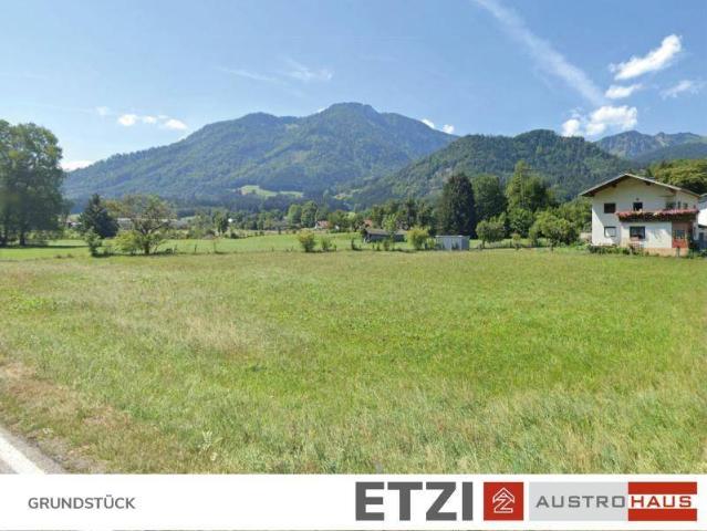 Immobilie kaufen in Mühldorf, Scharnstein