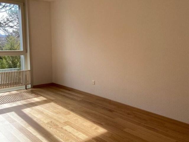 Apartment mieten in Sunnmatt, Worben