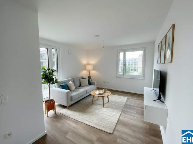 Wohnung mieten in Tulln an der Donau, Niederösterreich