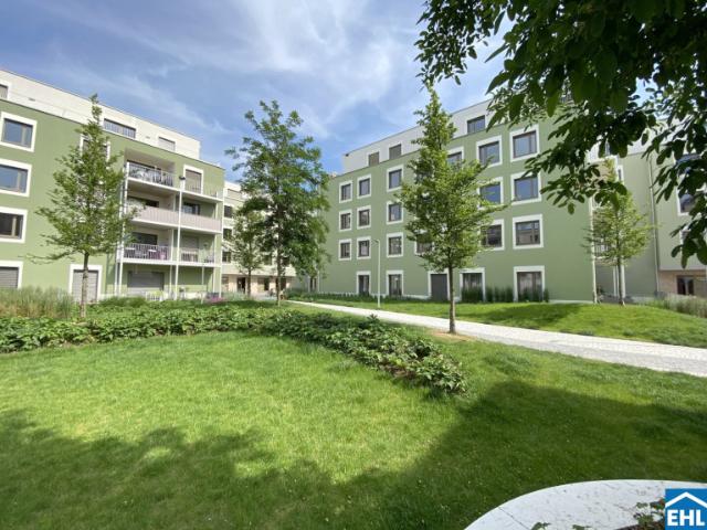 Wohnung mieten in Michelhausen, Niederösterreich