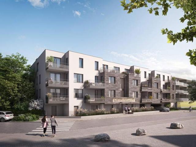 Wohnung kaufen in Gänserndorf, Niederösterreich