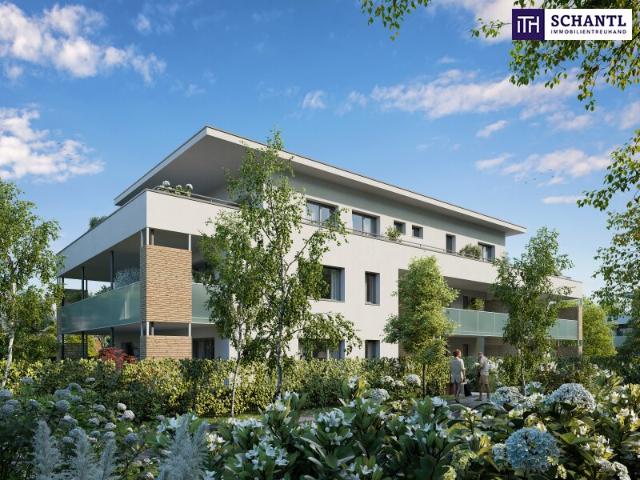Wohnung kaufen in Liebenau, Gersdorf-Feistritz