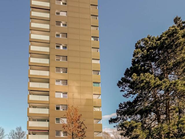 Apartment mieten in Birsfelden, Basel-Landschaft