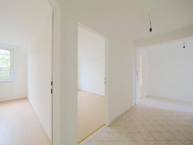 Apartment mieten in Brunn am Gebirge, Niederösterreich