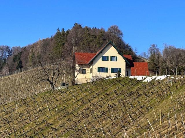 Haus kaufen in Eichberg-Trautenburg, Steiermark