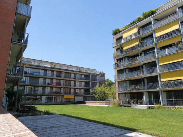 Apartment mieten in Tribschen, Luzern
