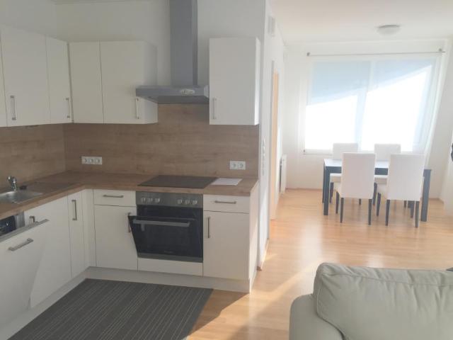 Apartment mieten in Reininghaus, Graz