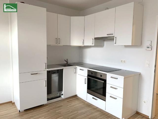 Apartment mieten in Pellendorf, Himberg