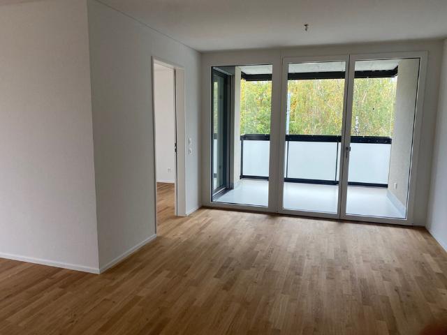 Apartment mieten in Reinach (BL), Basel-Landschaft