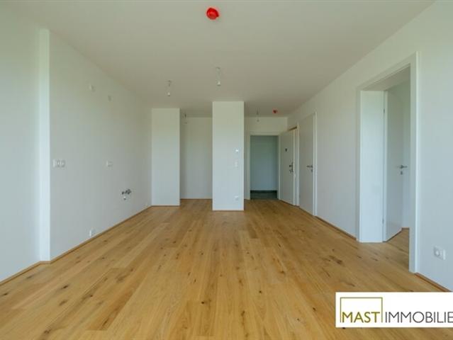 Wohnung kaufen in Spillern, Niederösterreich