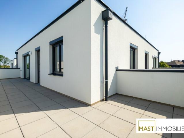 Dachgeschosswohnung kaufen in Spillern, Niederösterreich