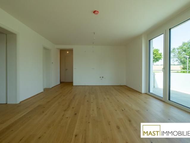 Wohnung kaufen in Spillern, Niederösterreich