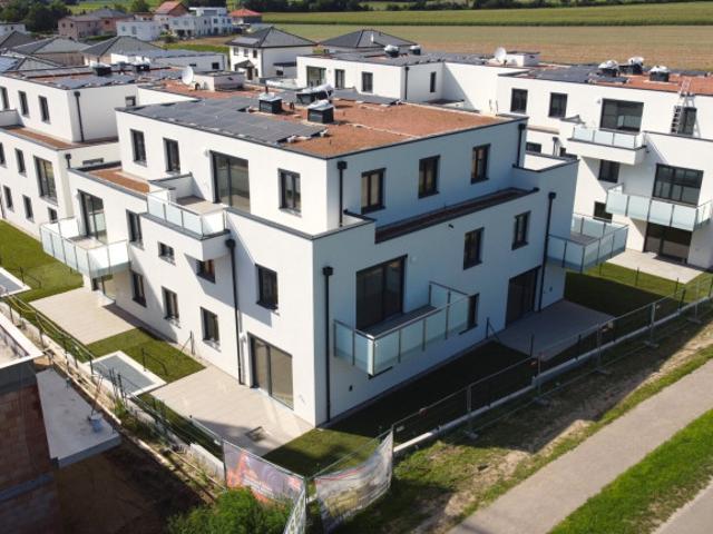 Wohnung kaufen in Spillern, Niederösterreich
