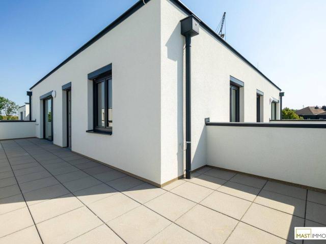 Apartment kaufen in Spillern, Niederösterreich