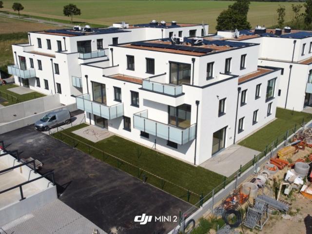 Wohnung kaufen in Spillern, Niederösterreich