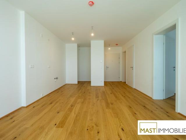Wohnung kaufen in Spillern, Niederösterreich