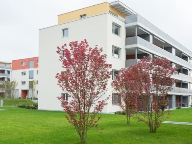 Wohnung mieten in Oftringen, Aargau