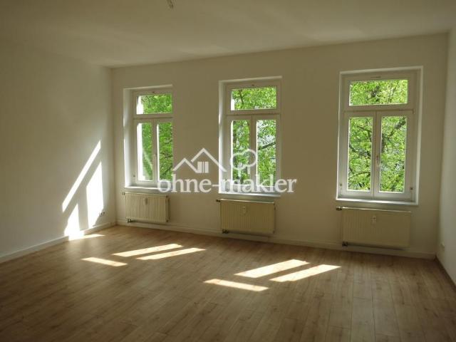 Apartment mieten in Schleußig, Leipzig