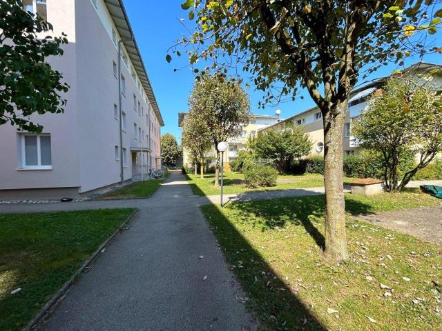Apartment mieten in Schwanenstadt, Oberösterreich