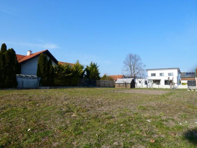 Grundstück kaufen in Weiden am See, Burgenland