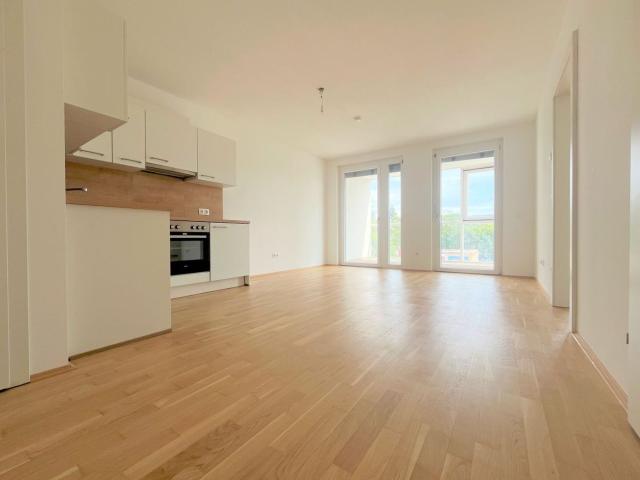 Apartment mieten in Katastralgemeinde Baierdorf, Graz