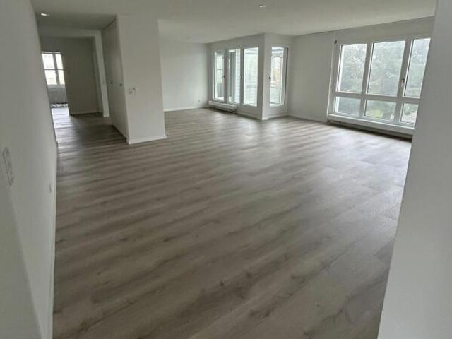 Apartment mieten in Wollishofen, Zürich