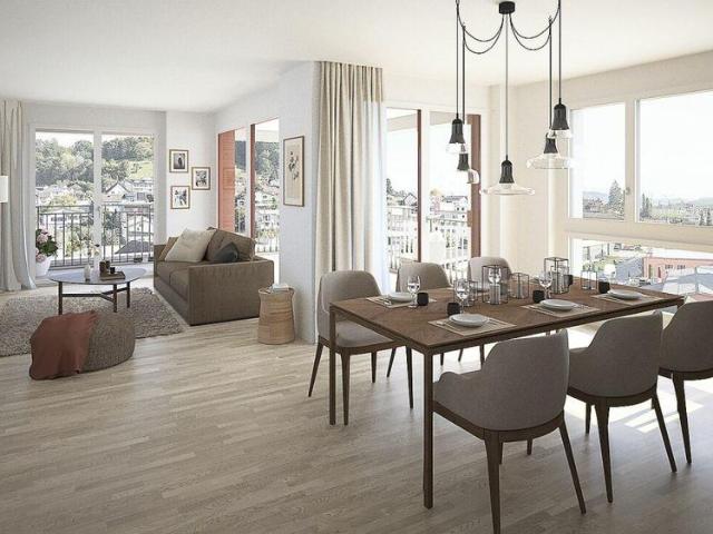 Apartment mieten in Nebikon, Lü