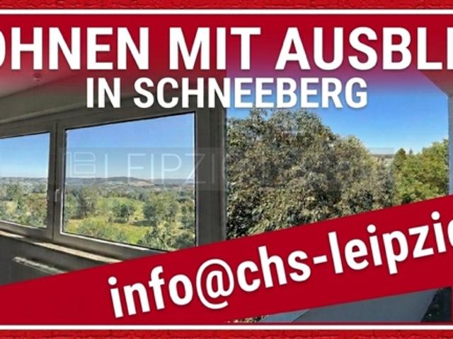 Wohnung mieten in Schneeberg, Sachsen