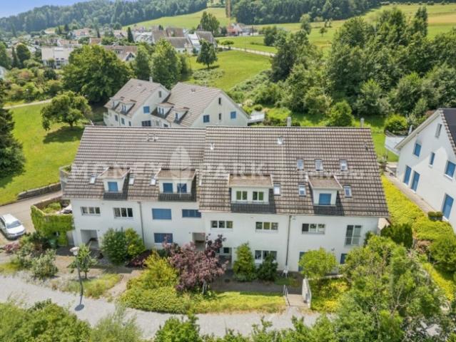 Reihenfamilienhaus kaufen in Egg, Zürich