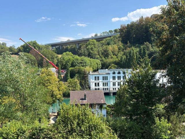 Apartment mieten in Bremgarten bei Bern, Bern