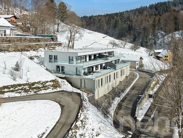 Terrassenwohnung kaufen in Plasselb, Freiburg